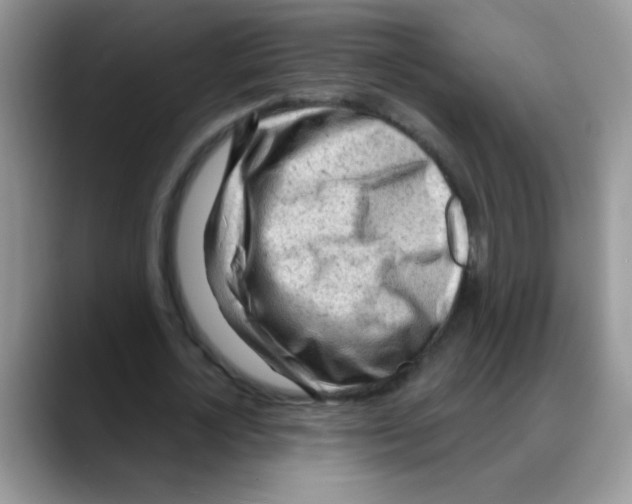 X0000088060724200706081649