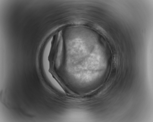 X0000088060726200706081649