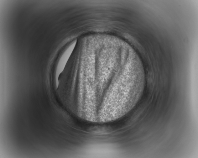 X0000088060727200706081649