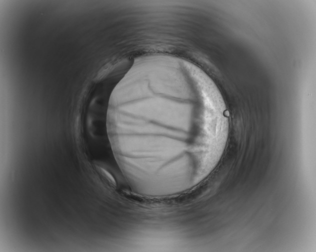 X0000088060729200706081649