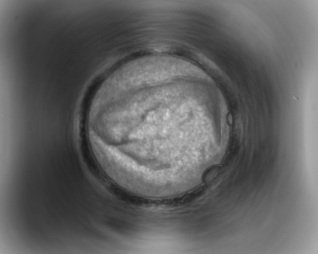 X0000088060730200706081649