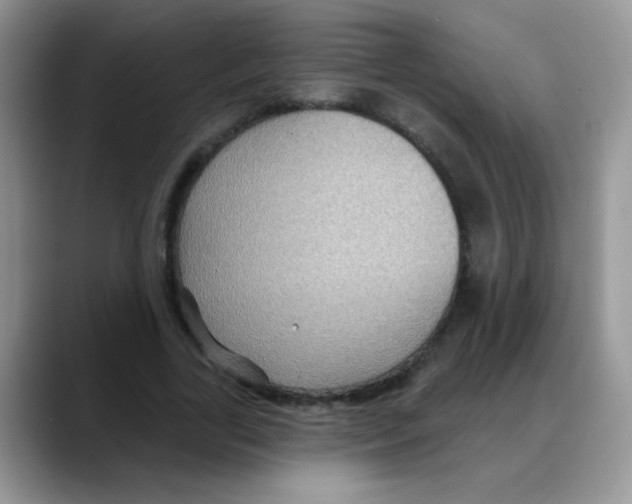 X0000088060731200706081649