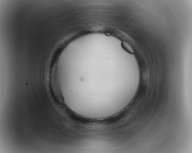 X0000088060732200706081649