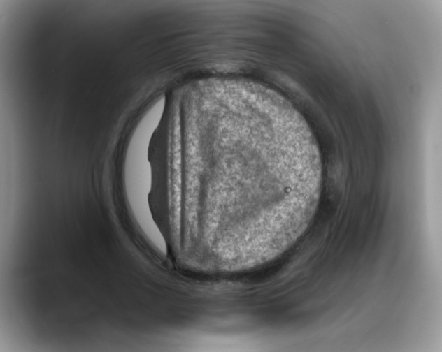 X0000088060734200706081649