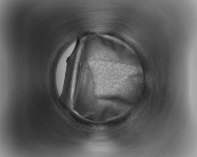 X0000088060735200706081649
