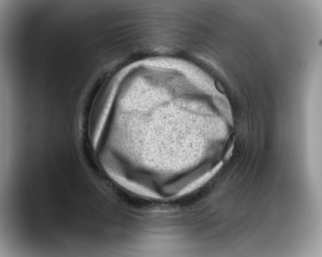 X0000088060736200706081649