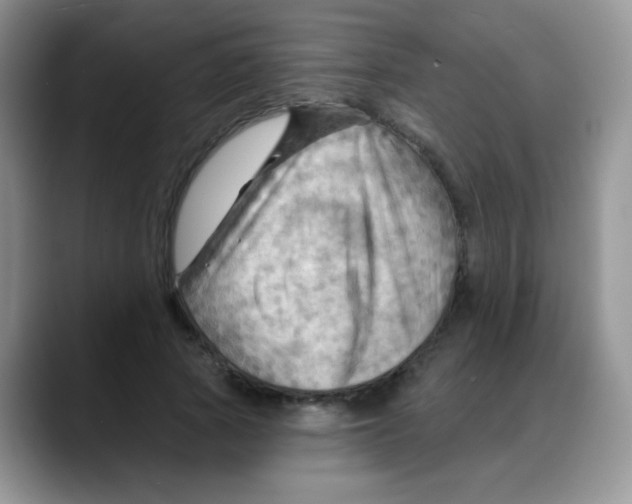 X0000088060737200706081649