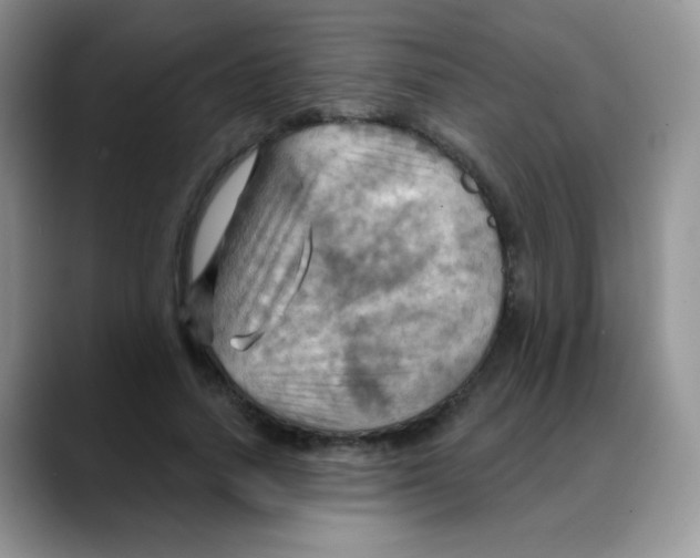 X0000088060738200706081649