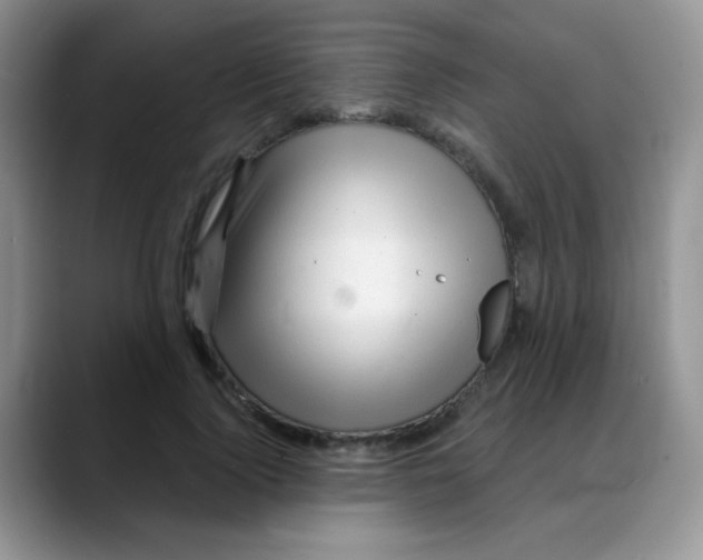 X0000088060740200706081649