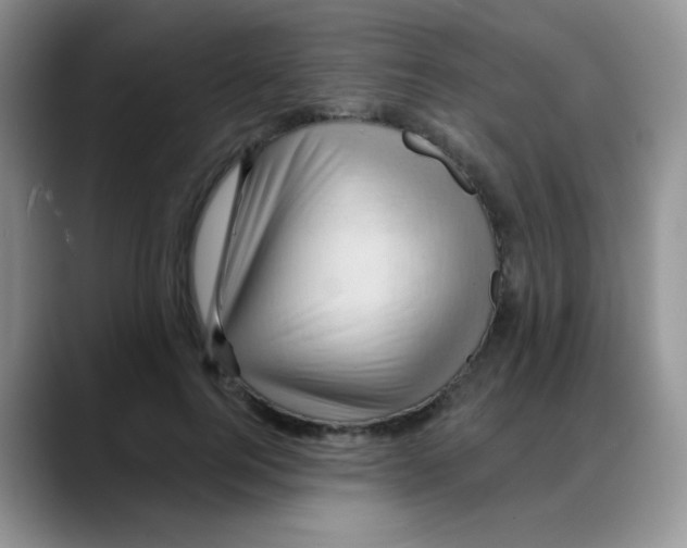 X0000088060744200706081649