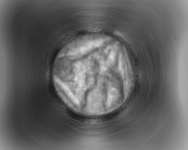 X0000088060745200706081649