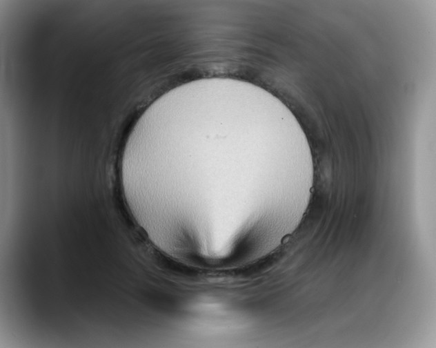 X0000088060746200706081649