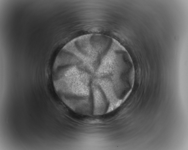 X0000088060747200706081649