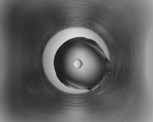 X0000088060748200706081649