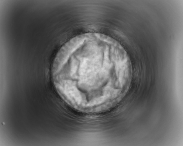 X0000088060749200706081649