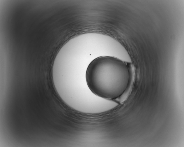 X0000088060750200706081649