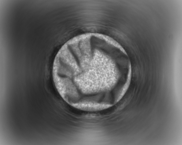 X0000088060751200706081649