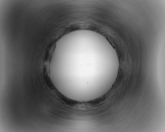 X0000088060752200706081649