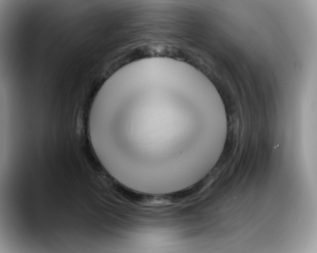 X0000088060754200706081649
