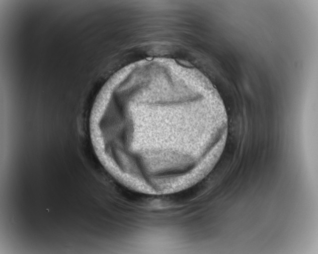 X0000088060755200706081649