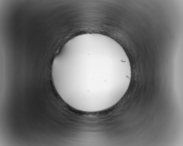 X0000088060756200706081649