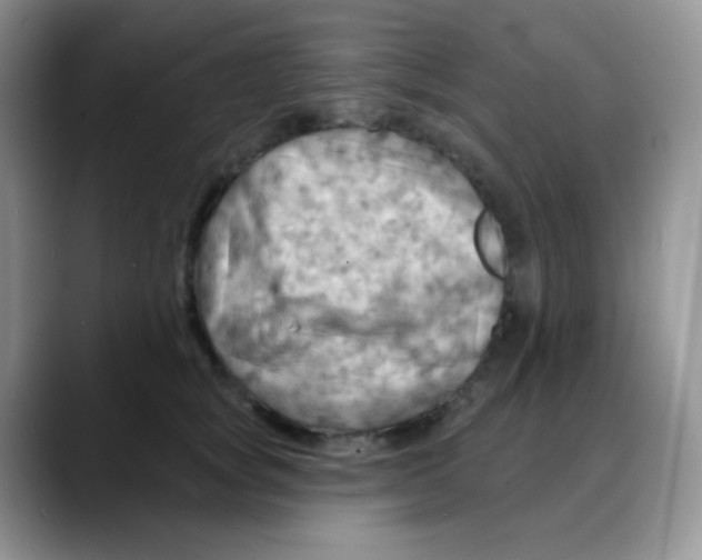 X0000088060757200706081649