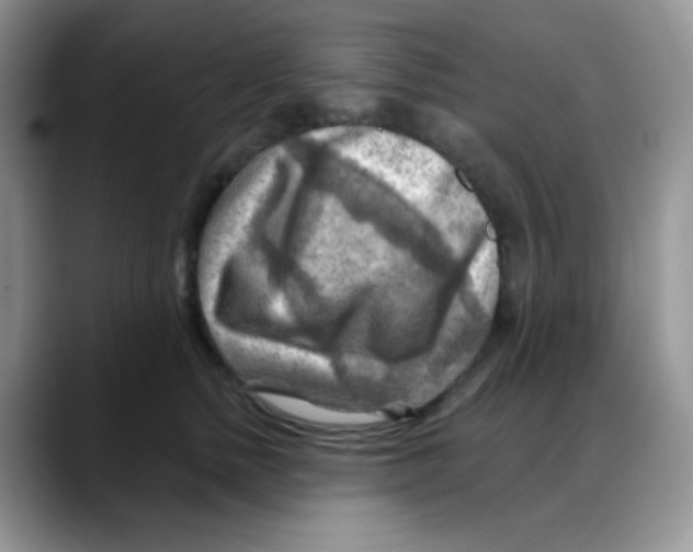 X0000088060758200706081649