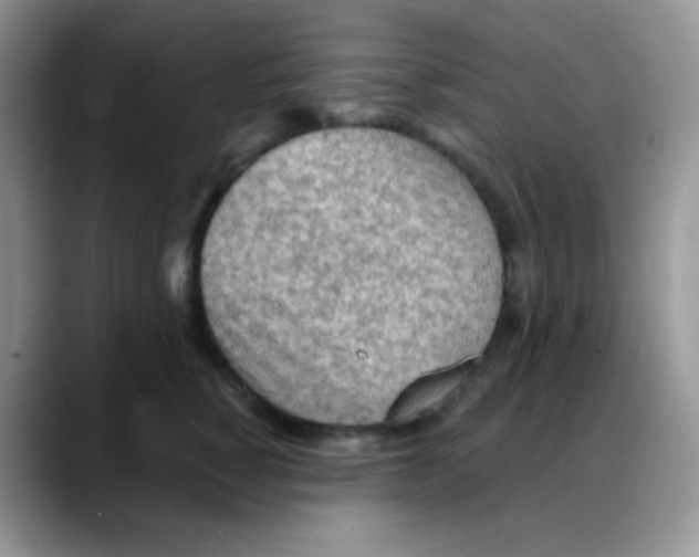 X0000088060760200706081649