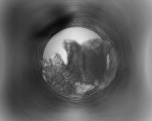 X0000088060761200706081649