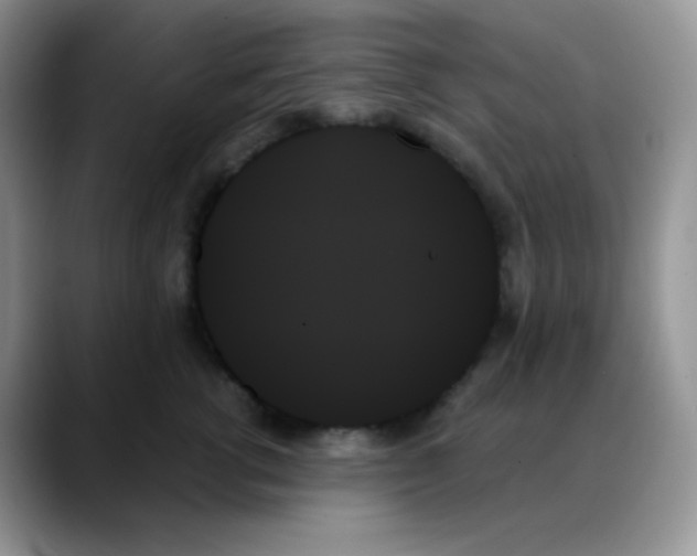 X0000088060762200706081649