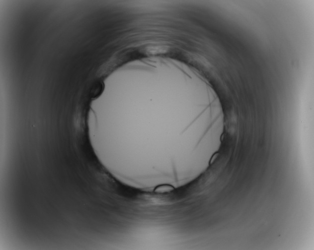 X0000088060763200706081649
