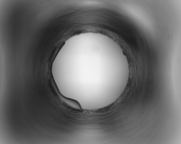 X0000088060764200706081649