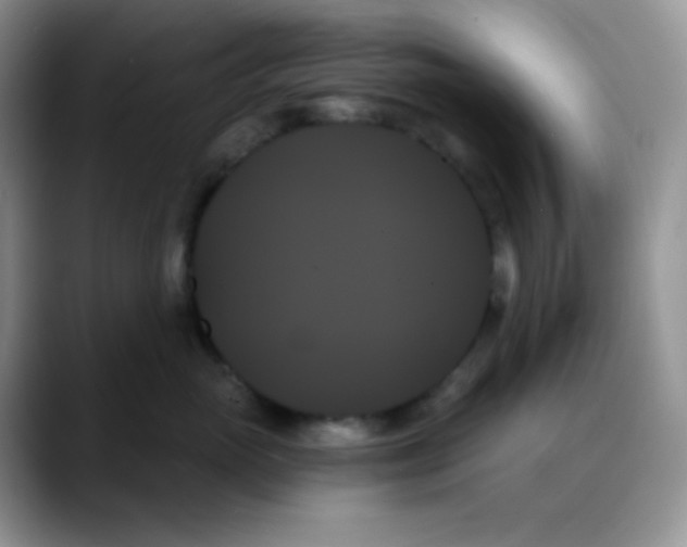 X0000088060765200706081649