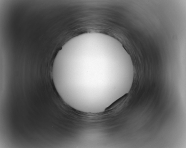 X0000088060766200706081649