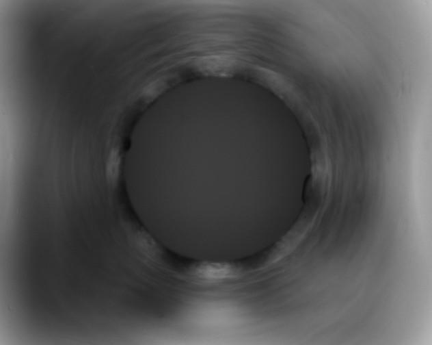 X0000088060767200706081649