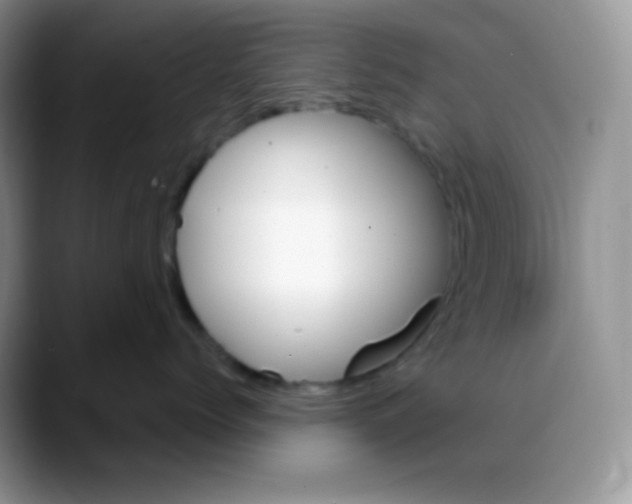 X0000088060768200706081649