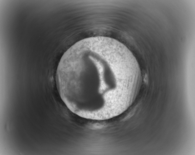 X0000088060771200706081649