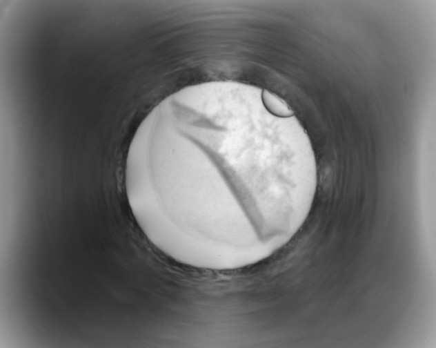 X0000088060772200706081649