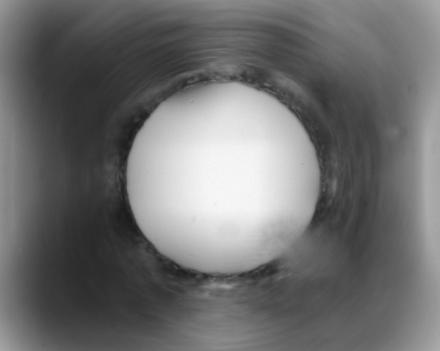 X0000088060773200706081649