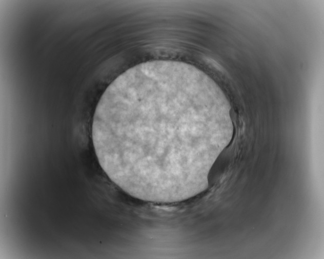 X0000088060774200706081649