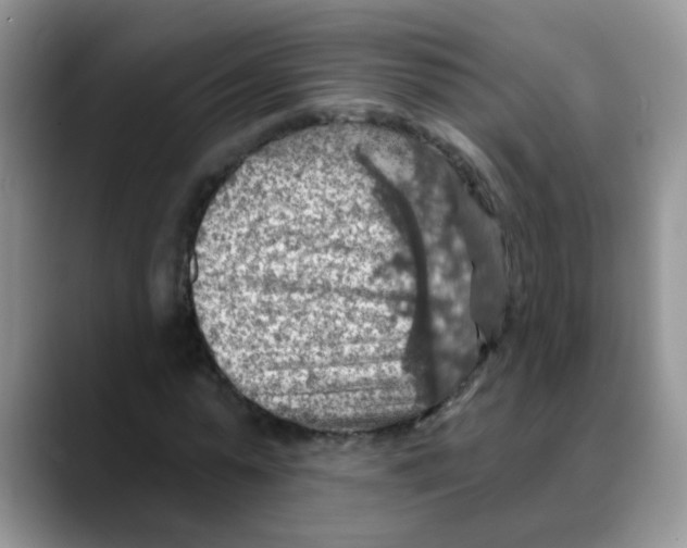 X0000088060775200706081649