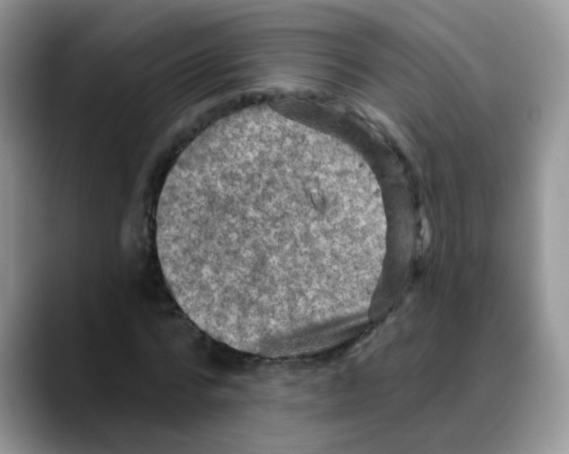 X0000088060776200706081649