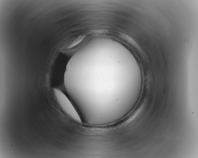 X0000088060777200706081649