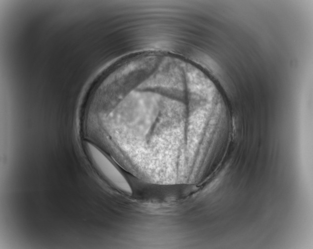 X0000088060780200706081648