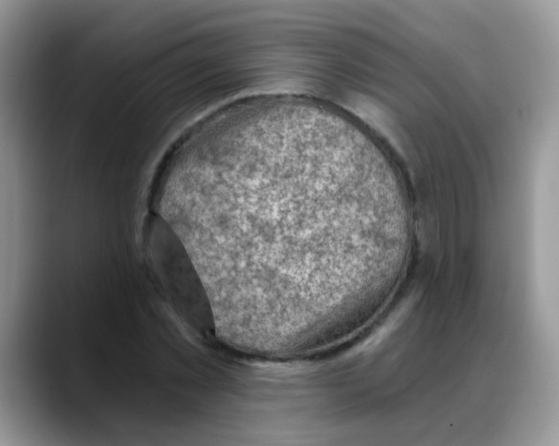 X0000088060781200706081648