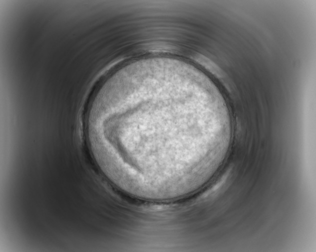 X0000088060782200706081648
