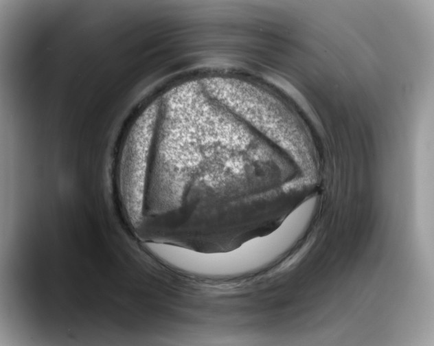 X0000088060783200706081648
