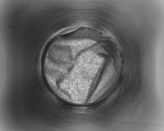 X0000088060784200706081648