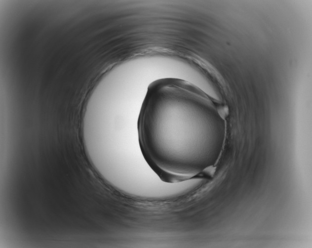 X0000088060785200706081648