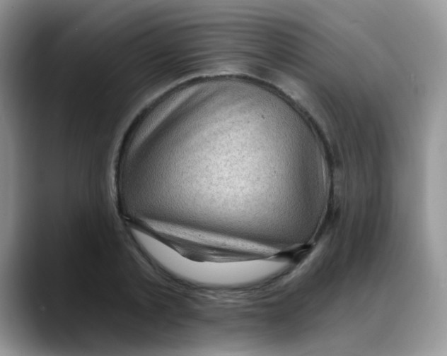 X0000088060789200706081648